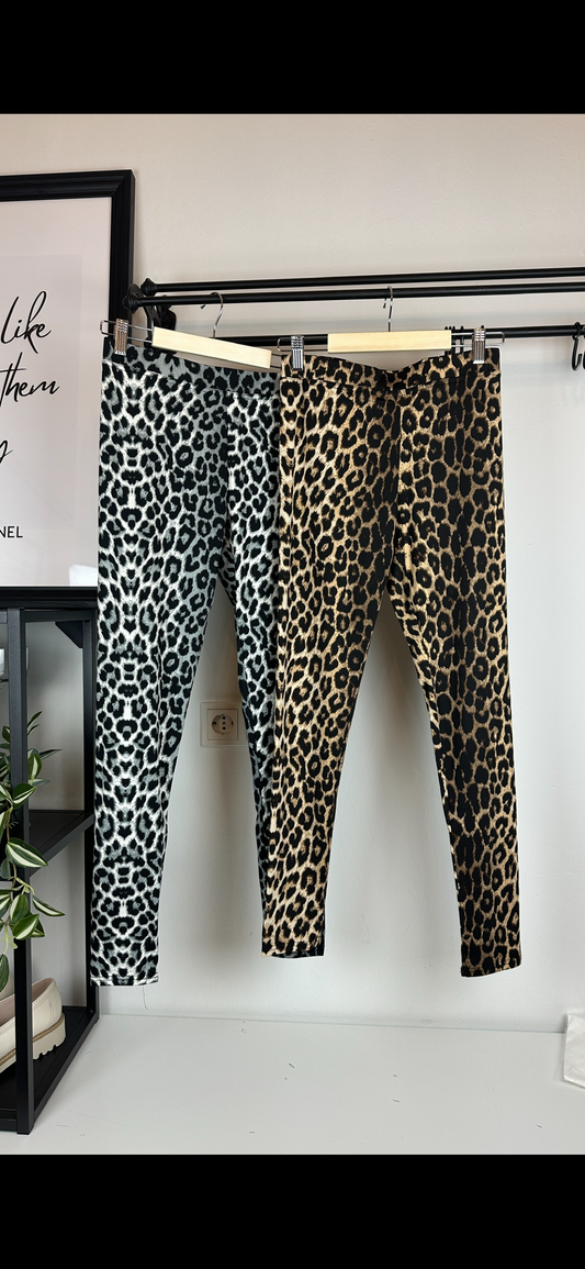 Animalprint Leggings